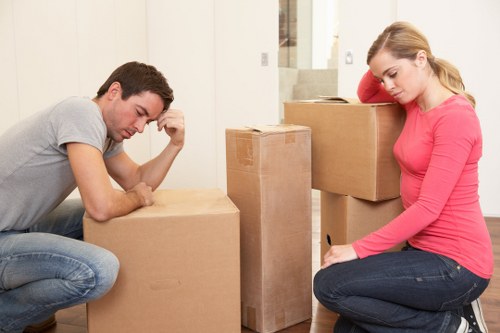 Man with van removal service for a Stockwell flat move
